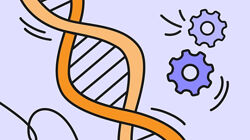 РБК Доступный биохакинг как прожить до 120 лет 2023