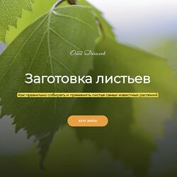 Ольга Данилюк Заготовка листьев 2023