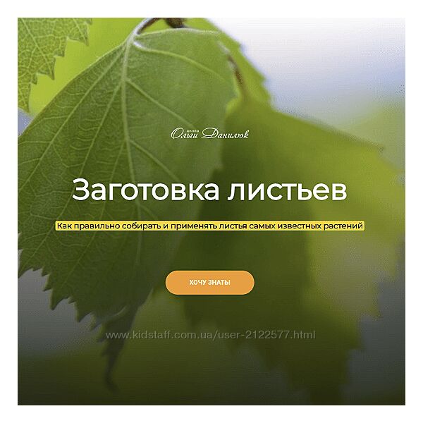 Ольга Данилюк Заготовка листьев 2023