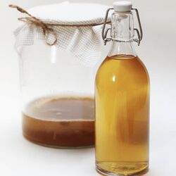 Мария Сочилкина Комбуча и медовая джун-комбуча 2023 