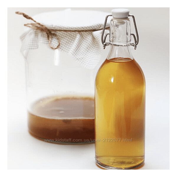 Мария Сочилкина Комбуча и медовая джун-комбуча 2023 