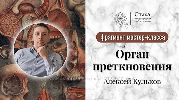 Алексей Кульков Предупредить нельзя лечить или Орган преткновения 2023