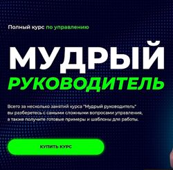 Денис Сергеев Мудрый руководитель 2024