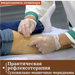 Владимир Кононов  Практическая рефлексотерапия Сухожильно-мышечные