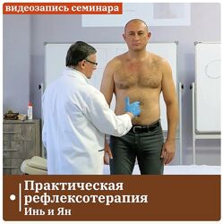Владимир Кононов  Практическая рефлексотерапия Инь и Ян 2023