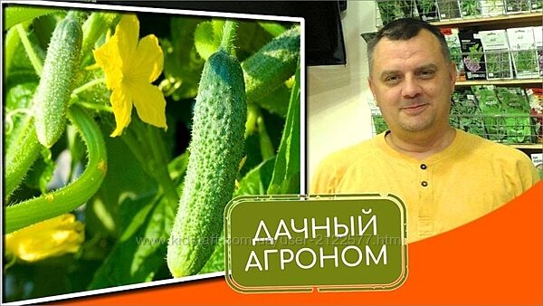 Дачный агроном Огуречный Курс