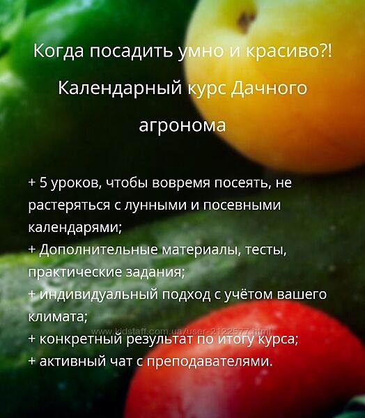 Дачный агроном Когда посадить умно и красиво Календарный курс 2023