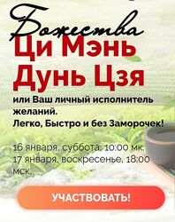 Татьяна Смирнова Божества Ци Мэнь Дунь Цзя или Ваш личный исполнитель