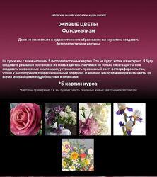 Александр Шатале Живые цветы Фотореализм 2023