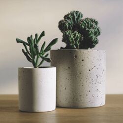 Андрей Щедрин Skillbox Горшечные растения Дизайн интерьера