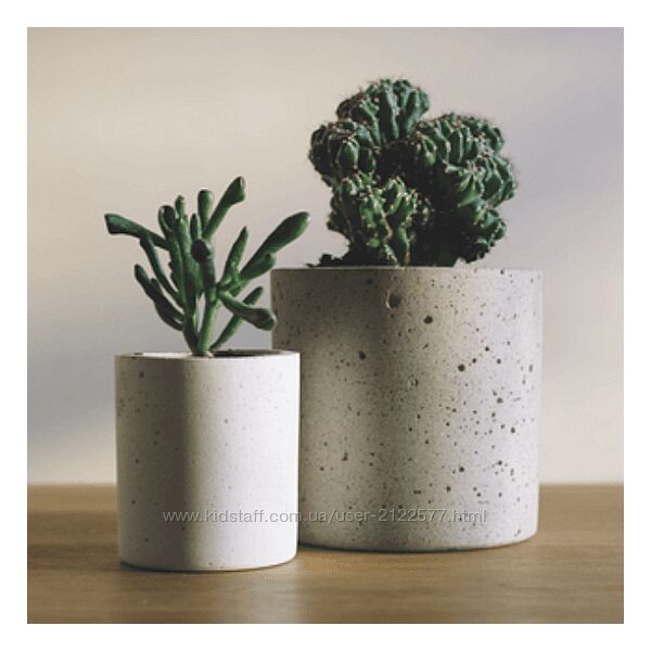 Андрей Щедрин Skillbox Горшечные растения Дизайн интерьера