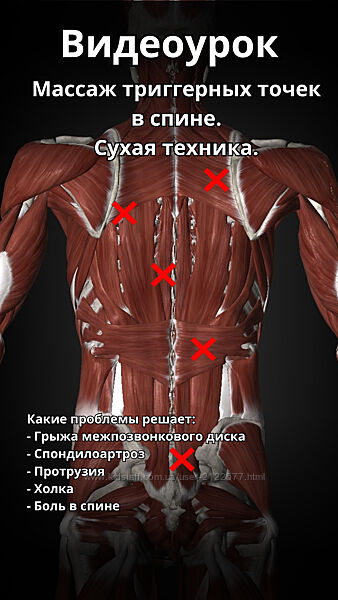 Артем Пак Массаж триггерных точек в спине 2024