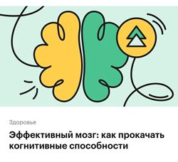 РБК Эффективный мозг как прокачать когнитивные способности 2023