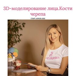 Инна Алферова Facevitonica 3D-моделирование лица Кости черепа 7.0