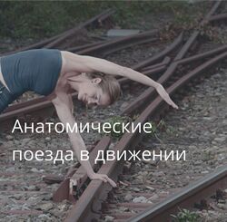 Artofmotion Анатомические поезда в движении 2023