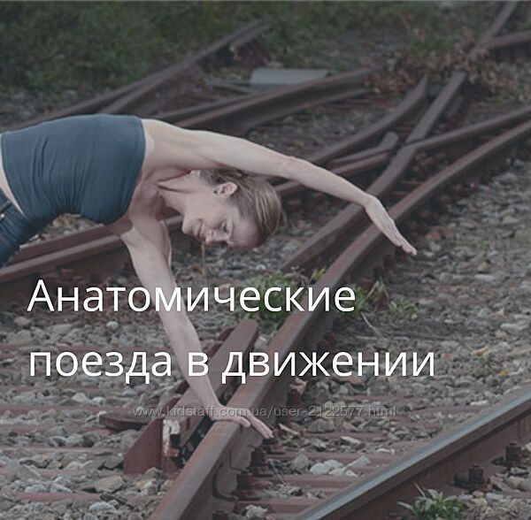 Artofmotion Анатомические поезда в движении 2023