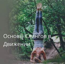 Лидия Лаврукович , Анна Селиверстова Artofmotion Основы слингов в движени