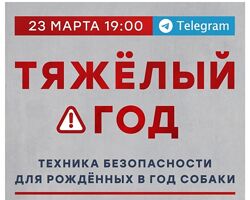 Александр Литвин Техника безопасности для рожденных в год Собаки 2024