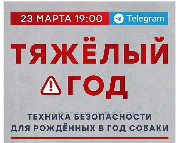 Александр Литвин Техника безопасности для рожденных в год Собаки 2024