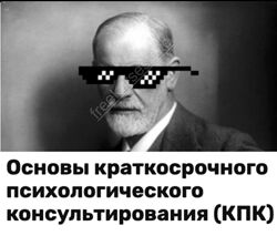 Василий Смирнов Основы краткосрочного психологического консультирования КПК