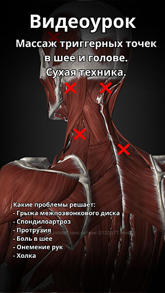 Артем Пак Массаж триггерных точек в шее и голове 2024