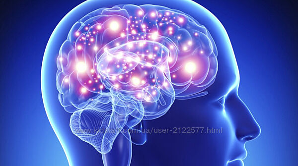 Татьяна Ободзинская Нейровоспаление психоневрологических нарушений