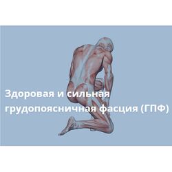 Ольга Романова Здоровая и сильная грудопоясничная фасция 2024