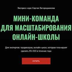 Сергей Загородников Мини-команда для масштабирования онлайн-школы 2023