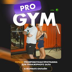 Pro Gym Первая тренировочная программа для тренажерного зала онлайн 2024
