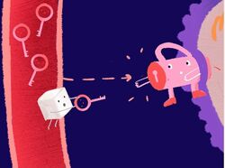 Мария Вовк Теоретический курс питания при акне 2023