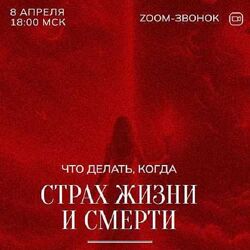Марина Кульпина Зум-звонок Страх жизни и смерти 08.04.24