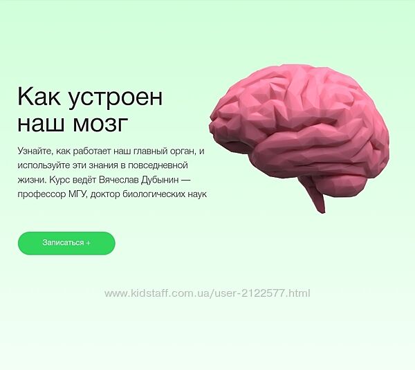 Синхронизация Вячеслав Дубынин - Видеокурс Как устроен наш мозг 