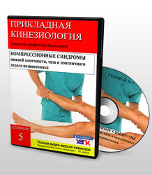 Николай Волынкин Основной курс Прикладной кинезиологии