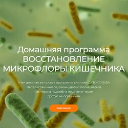Игорь Кауфман Домашняя программа восстановления микрофлоры кишечника 2024