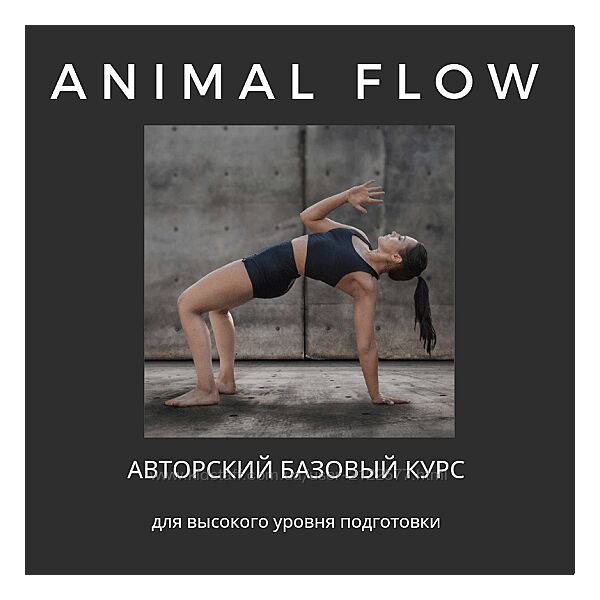 Анастасия Канивец Базовый курс Animal Flow 2024