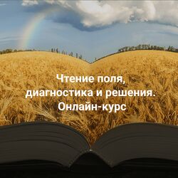 Елена Веселаго Чтение поля, диагностика и решения Апгрейд до пакет Полный