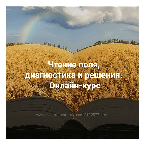 Елена Веселаго Чтение поля, диагностика и решения Апгрейд до пакет Полный 