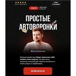 Виталий Антонов, Артём Николаев Продающий воронки 2024