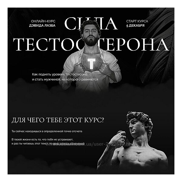 Дэвид Лазба Гладиатор Сила тестостерона