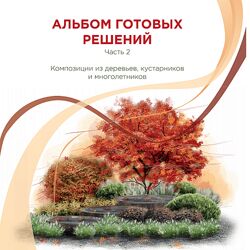 Иван Шаферов Альбом готовых решений 2 Композиции из деревьев, кустарников