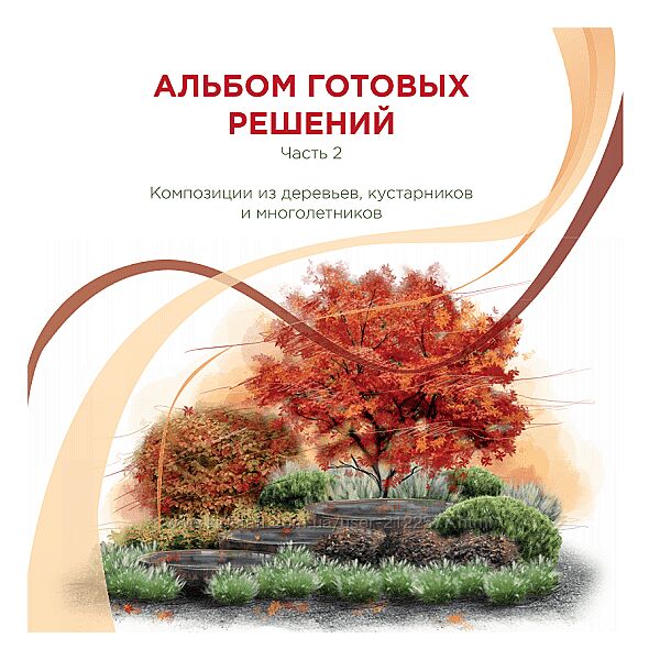 Иван Шаферов Альбом готовых решений 2 Композиции из деревьев, кустарников