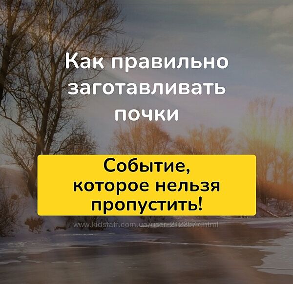 Школа Ольги Данилюк Сезон заготовки почек 2022