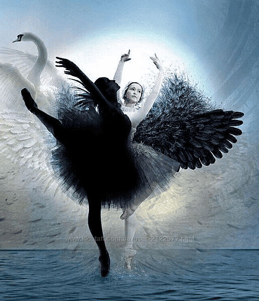 Наталья Приймаченко Интеграция Тени 2024