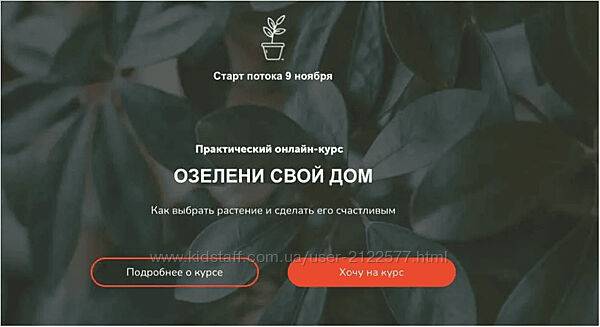 Натали Серова Озелени свой дом