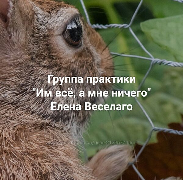 Елена Веселаго Им всё, а мне ничего 2024