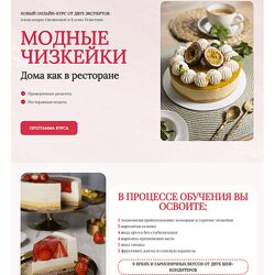 Модные чизкейки Александра Овешкова, Елена Решетняк 2024