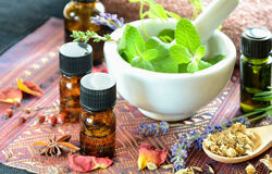 AHAM Мальте Хоццель  Эфирные масла и принципы блендинга 2024