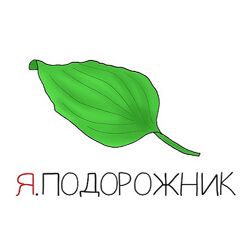 Антон Маркин Я. Подорожник 2024