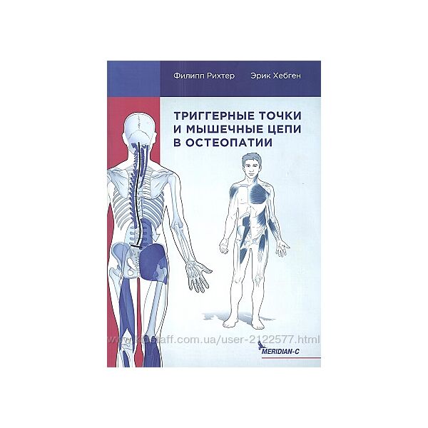 Остеопатия Триггерные точки и мышечные цепи Хебген и Рихтер