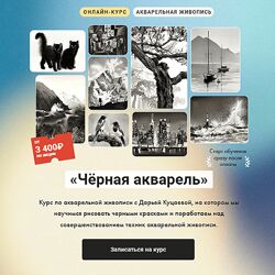 Дарья Куцаева Чёрная акварель 2024 Художник Online